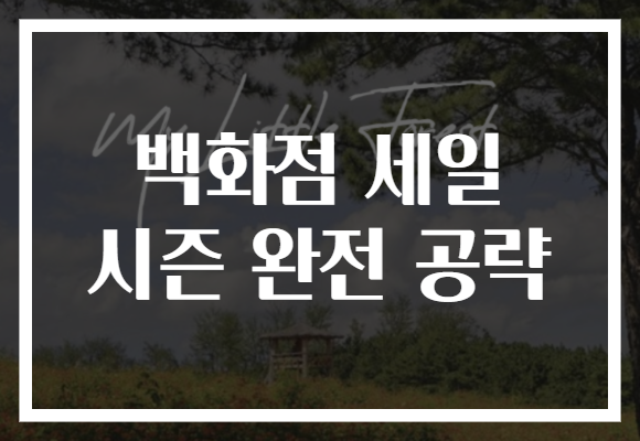 백화점 세일 시즌 완전 공략