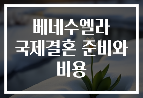 베네수엘라 국제결혼 준비와 비용