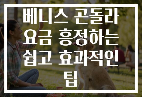 베니스 곤돌라 요금 흥정하는 쉽고 효과적인 팁