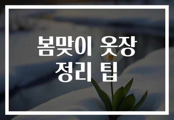봄맞이 옷장 정리 팁