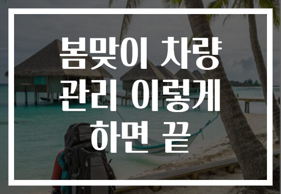 봄맞이 차량 관리 이렇게 하면 끝