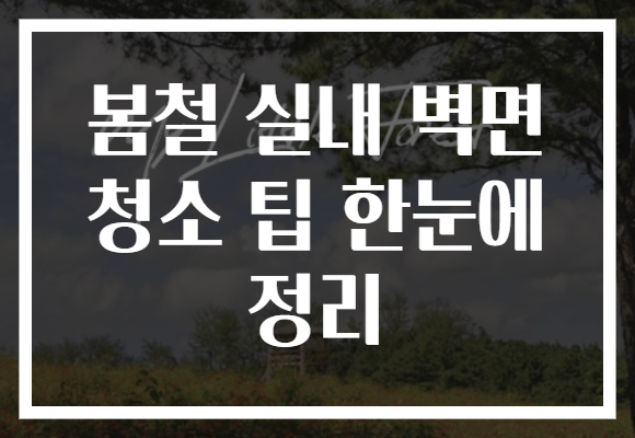 봄철 실내 벽면 청소 팁 한눈에 정리