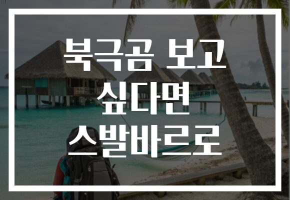 북극곰 보고 싶다면 스발바르로