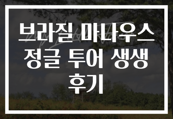 브라질 마나우스 정글 투어 생생 후기