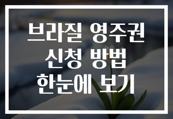 브라질 영주권 신청 방법 한눈에 보기