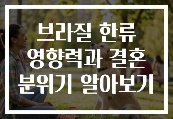 브라질 한류 영향력과 결혼 분위기 알아보기