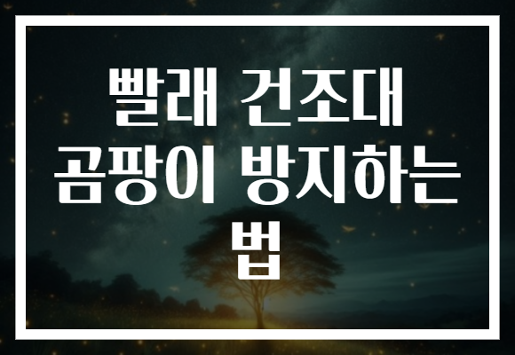 빨래 건조대 곰팡이 방지하는 법