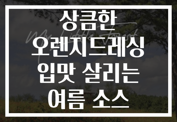 상큼한 오렌지드레싱 입맛 살리는 여름 소스