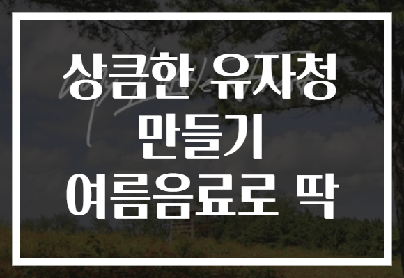 상큼한 유자청 만들기 여름음료로 딱