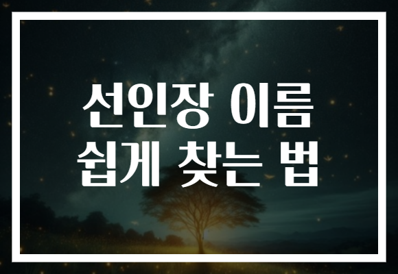 선인장 이름 쉽게 찾는 법