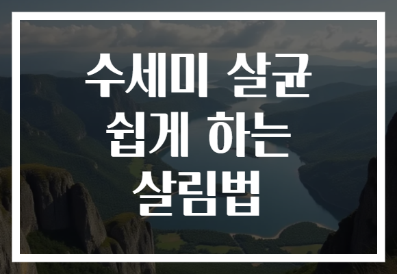 수세미 살균 쉽게 하는 살림법