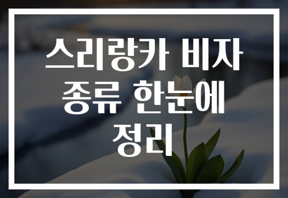스리랑카 비자 종류 한눈에 정리