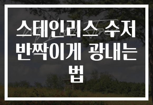 스테인리스 수저 반짝이게 광내는 법