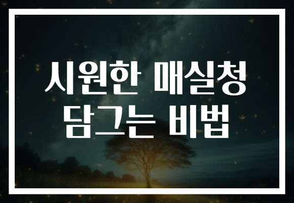 시원한 매실청 담그는 비법
