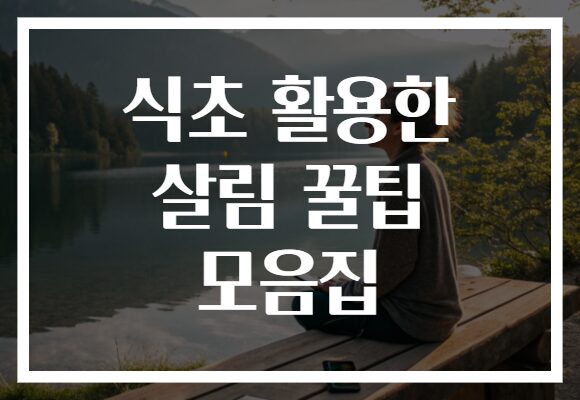 식초 활용한 살림 꿀팁 모음집