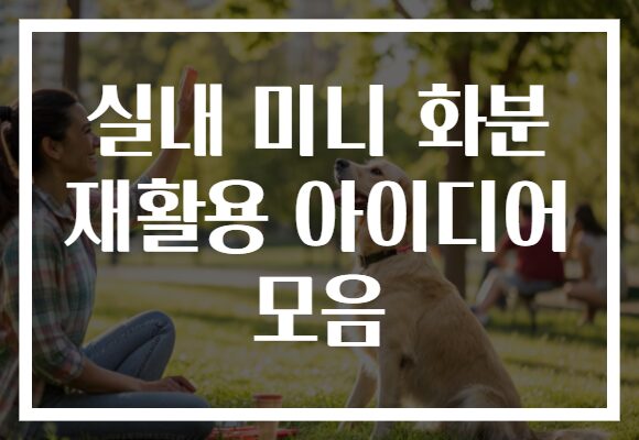실내 미니 화분 재활용 아이디어 모음