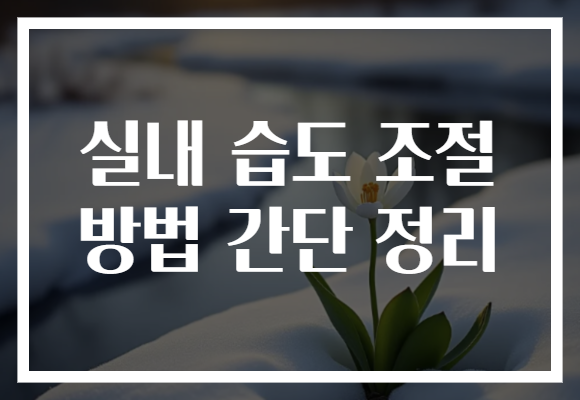 실내 습도 조절 방법 간단 정리