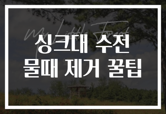 싱크대 수전 물때 제거 꿀팁