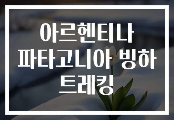 아르헨티나 파타고니아 빙하 트레킹
