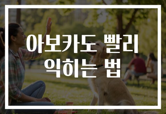 아보카도 빨리 익히는 법