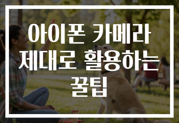 아이폰 카메라 제대로 활용하는 꿀팁
