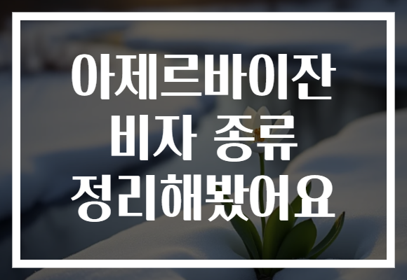 아제르바이잔 비자 종류 정리해봤어요