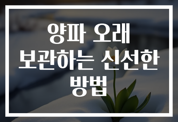 양파 오래 보관하는 신선한 방법