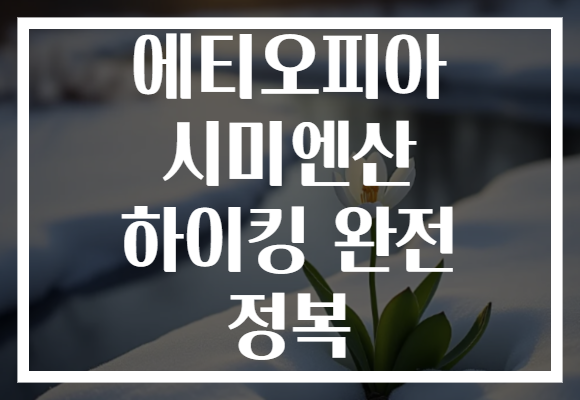 에티오피아 시미엔산 하이킹 완전 정복