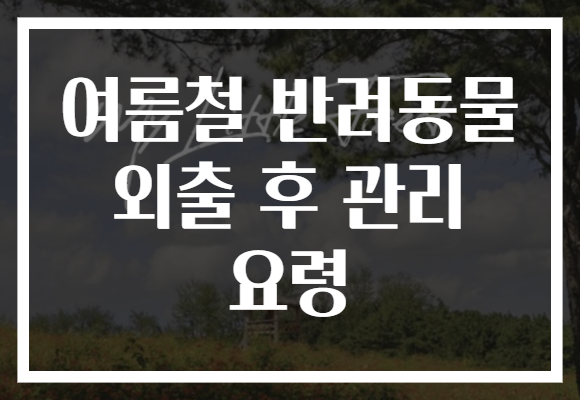 여름철 반려동물 외출 후 관리 요령
