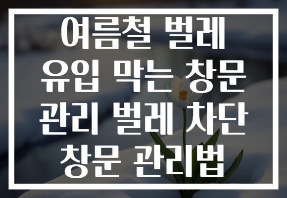 여름철 벌레 유입 막는 창문 관리 벌레 차단 창문 관리법