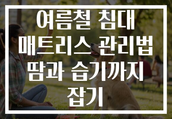 여름철 침대 매트리스 관리법 땀과 습기까지 잡기