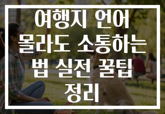 여행지 언어 몰라도 소통하는 법 실전 꿀팁 정리