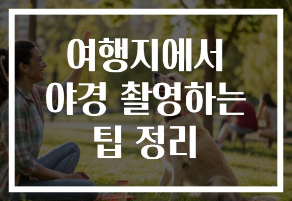 여행지에서 야경 촬영하는 팁 정리