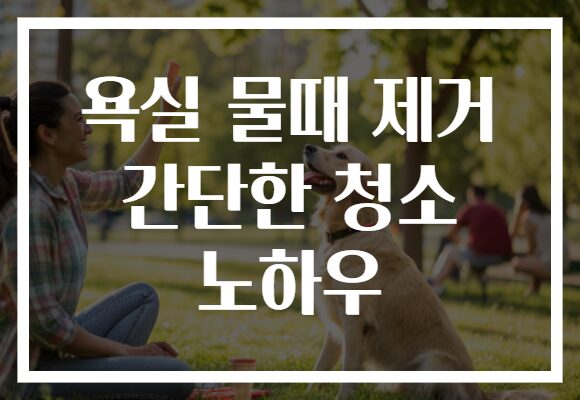 욕실 물때 제거 간단한 청소 노하우