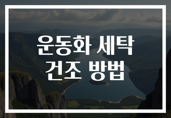 운동화 세탁 건조 방법