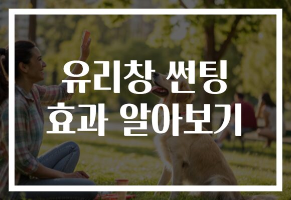 유리창 썬팅 효과 알아보기