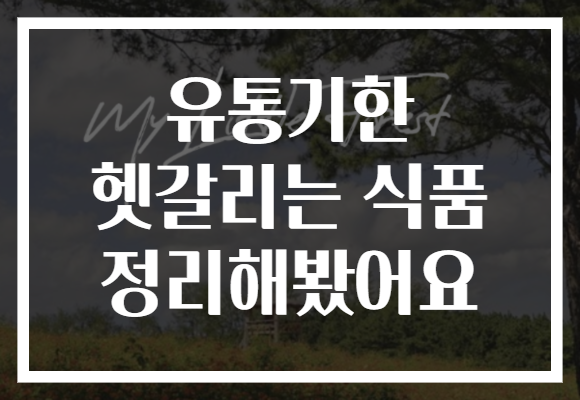 유통기한 헷갈리는 식품 정리해봤어요