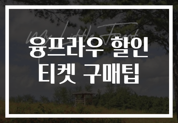 융프라우 할인 티켓 구매팁