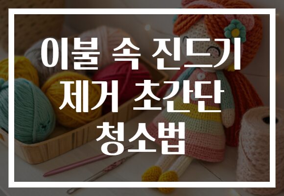 이불 속 진드기 제거 초간단 청소법