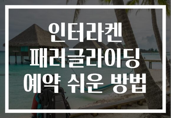 인터라켄 패러글라이딩 예약 쉬운 방법