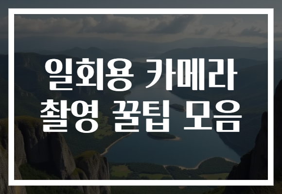 일회용 카메라 촬영 꿀팁 모음