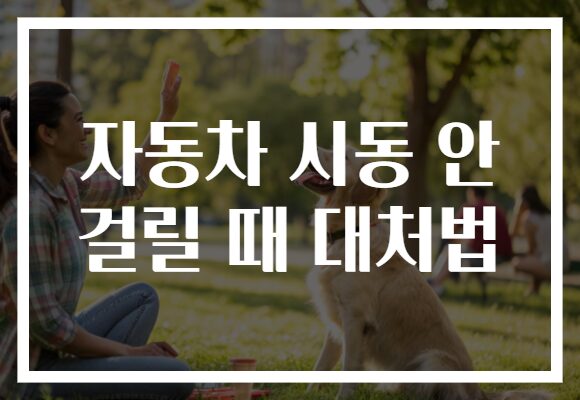 자동차 시동 안 걸릴 때 대처법