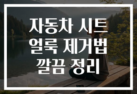자동차 시트 얼룩 제거법 깔끔 정리