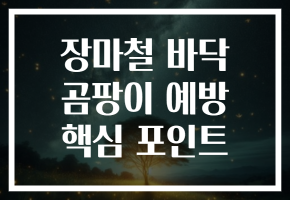 장마철 바닥 곰팡이 예방 핵심 포인트