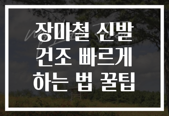 장마철 신발 건조 빠르게 하는 법 꿀팁