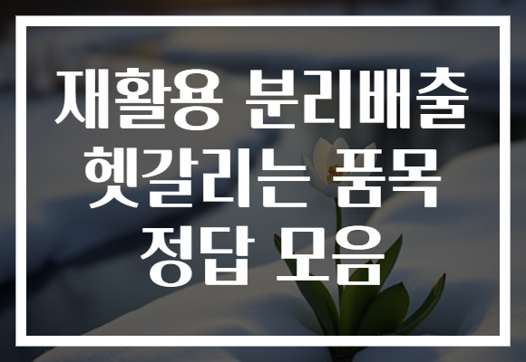 재활용 분리배출 헷갈리는 품목 정답 모음