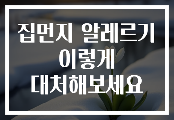 집먼지 알레르기 이렇게 대처해보세요