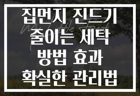 집먼지 진드기 줄이는 세탁 방법 효과 확실한 관리법