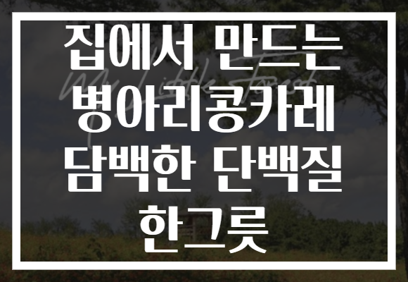 집에서 만드는 병아리콩카레 담백한 단백질 한그릇
