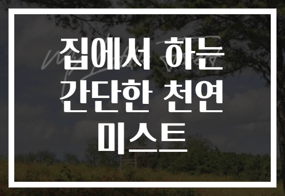 집에서 하는 간단한 천연 미스트